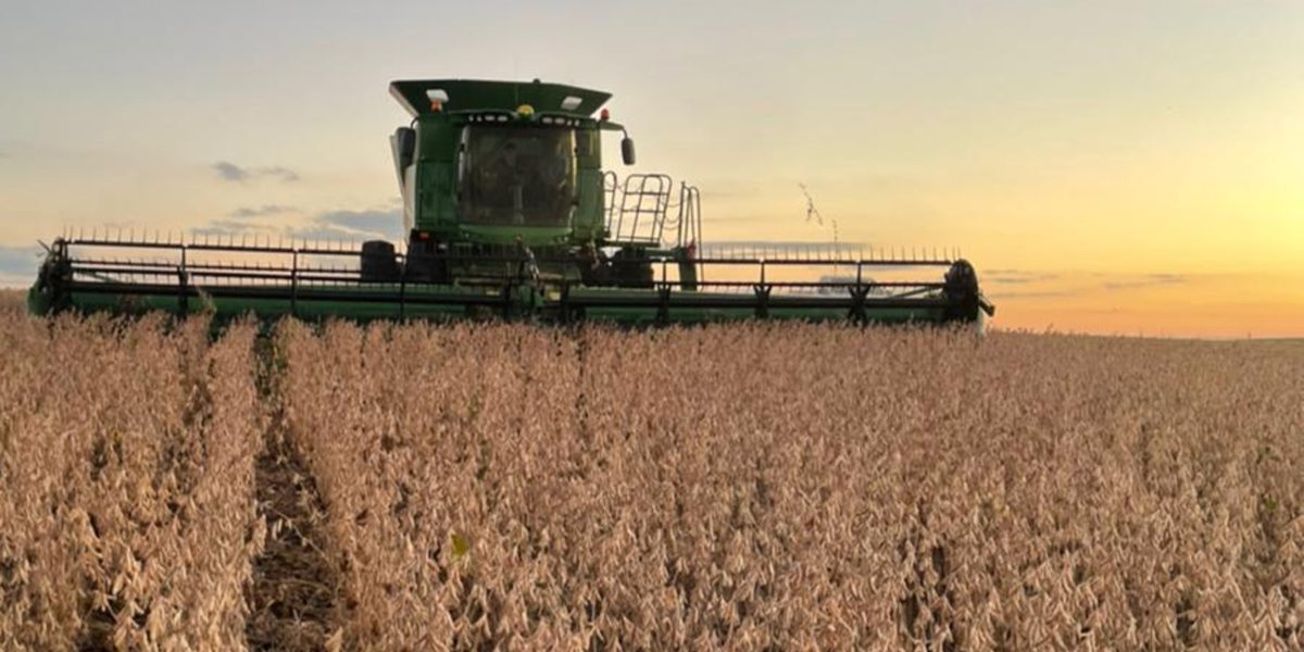 Produtores de arroz e soja acendem alerta por falta de combustíveis