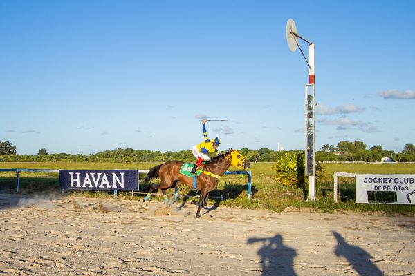 Fera do Manno leva o bicampeonato do GP Cidade do Rio Grande
