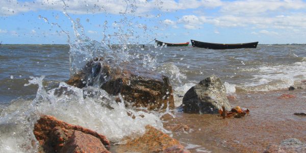 Dia da água reforça debate sobre preservação