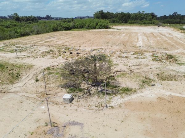 Tribunal aponta indícios de fraude na venda do Nicolau Fico