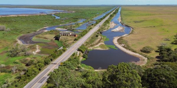 Estado detecta foco de gripe aviária em aves silvestres na Reserva do Taim