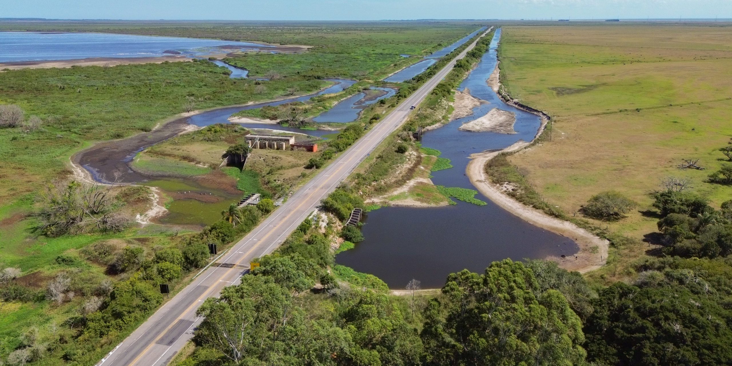 Estado detecta foco de gripe aviária em aves silvestres na Reserva do Taim