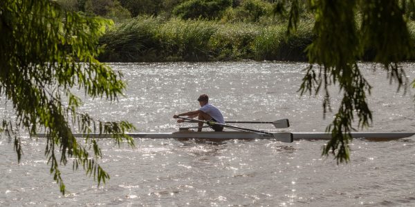 Pelotas institui o Dia Municipal do Remo em homenagem a Oguener Tissot