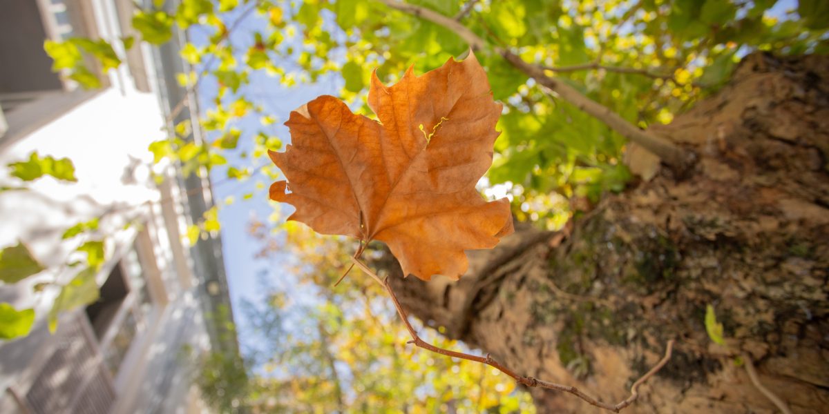 Outono será de chuvas um pouco abaixo da média na Zona Sul