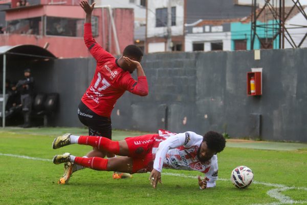 Brasil fará jogo-treino contra o Guarany