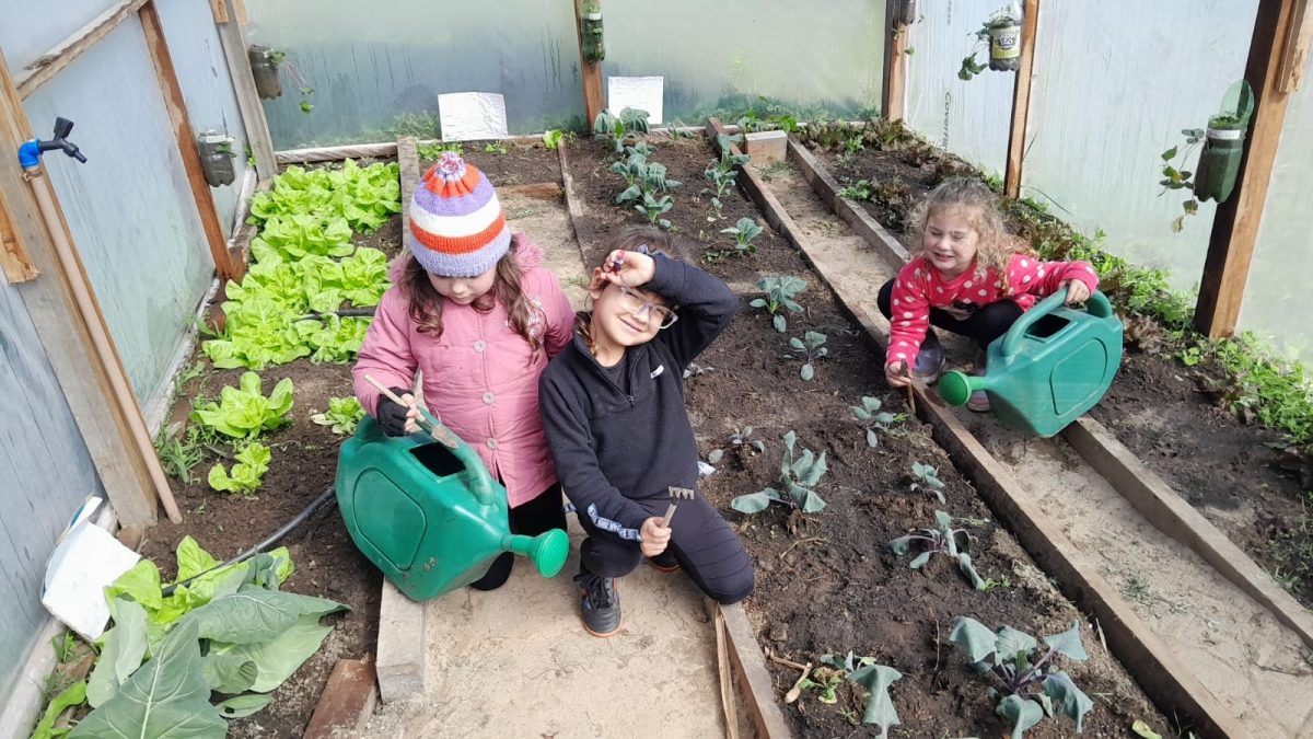 Projeto escolar de Morro Redondo é finalista de concurso nacional
