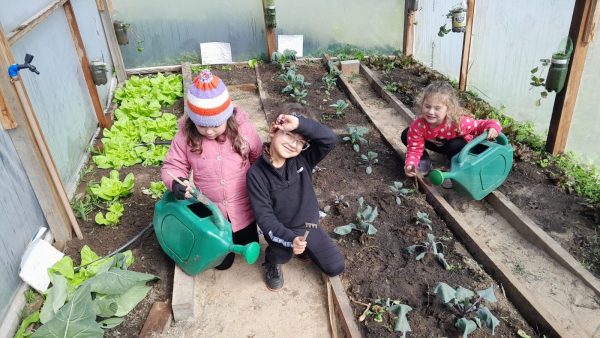Projeto escolar de Morro Redondo é finalista de concurso nacional