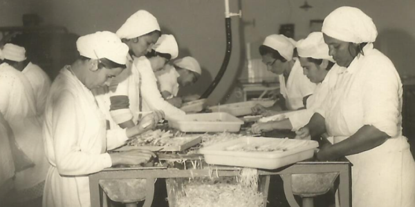 Produção de aspargos de Pelotas atinge níveis mundiais