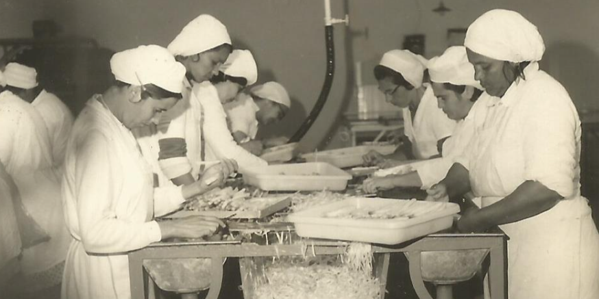 Produção de aspargos de Pelotas atinge níveis mundiais