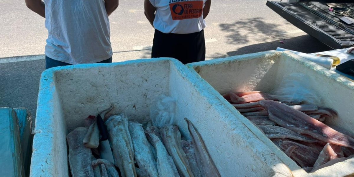 Semana do Peixe inicia com 46 bancas e boa expectativa de vendas
