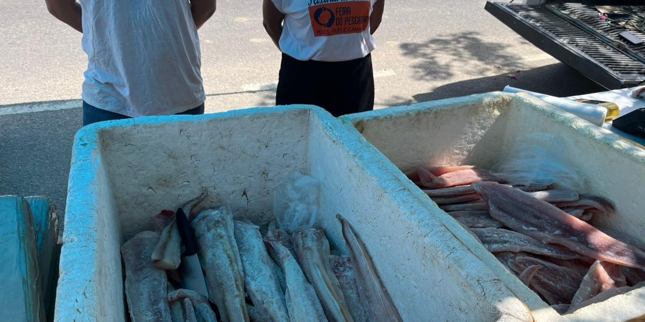 Semana do Peixe inicia com 46 bancas e boa expectativa de vendas