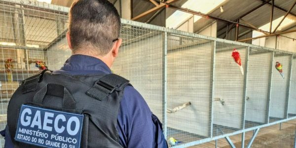 Operação contra grupo investigado por tráfico de animais silvestres cumpre mandados em Pelotas