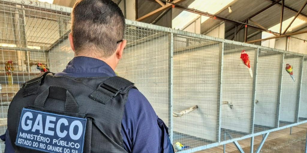 Operação contra grupo investigado por tráfico de animais silvestres cumpre mandados em Pelotas