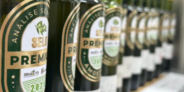 Azeite de oliva gaúcho será destaque em coquetéis do South Summit Brazil