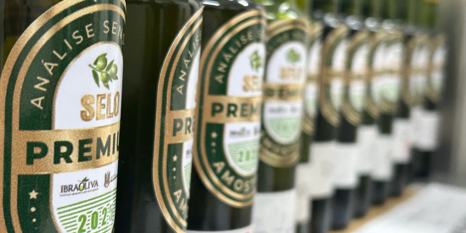 Azeite de oliva gaúcho será destaque em coquetéis do South Summit Brazil