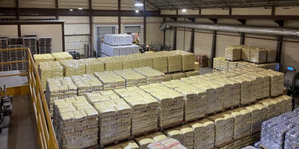 Nelson Wendt Alimentos vive momento favorável, apesar de desafios no cenário global