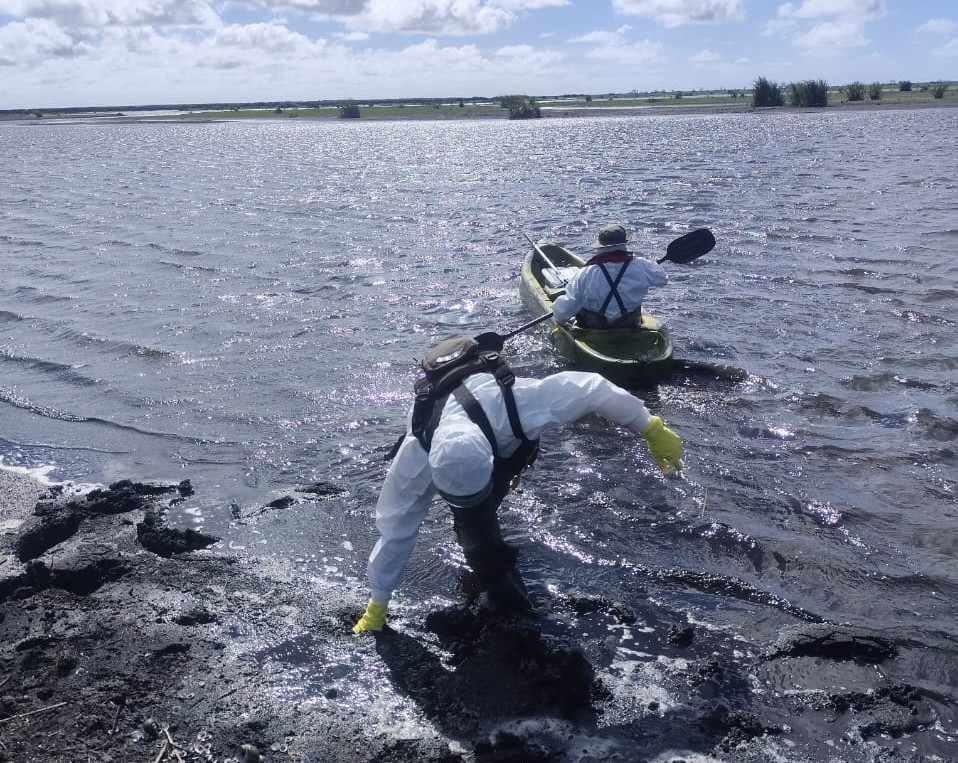 Número de aves encontradas mortas por gripe aviária sobe para 20 no Taim