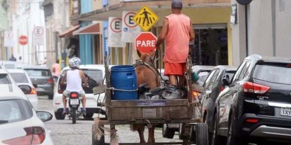 Pelotas faz estudo para trocar charretes por veículos elétricos