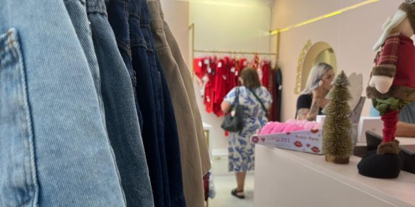 Empreendedores precisam se apropriar da gestão dos negócios, aponta consultor