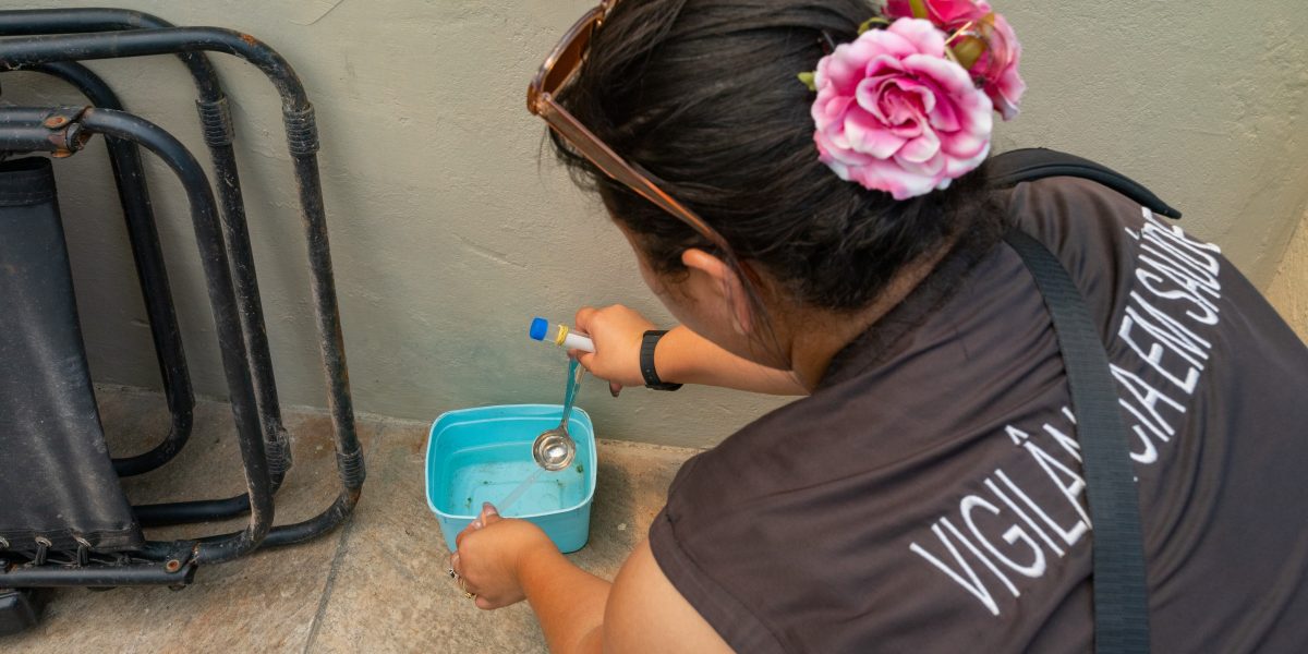 Pelotas registra aumento de 237% nos focos de dengue e entra em alerta