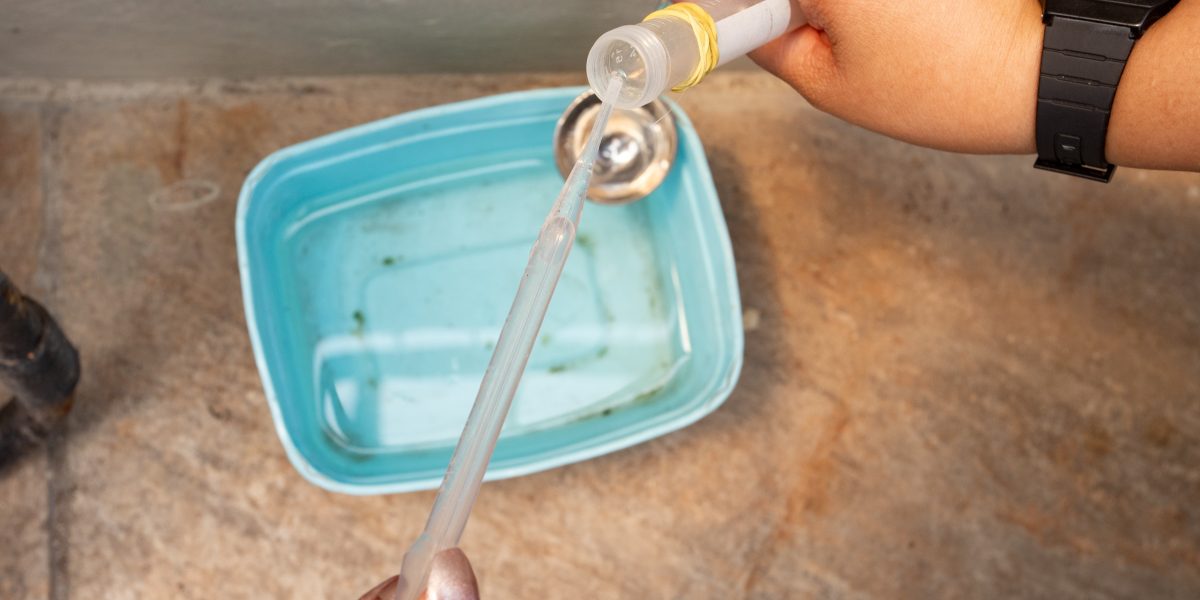 Rio Grande confirma primeiro caso de dengue em 2026