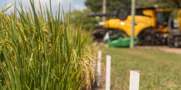 Alta no diesel e insumos pressiona produtores rurais