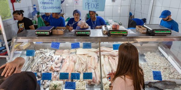 Mercado de pescados fortalecido no embalo da Sexta-Feira Santa