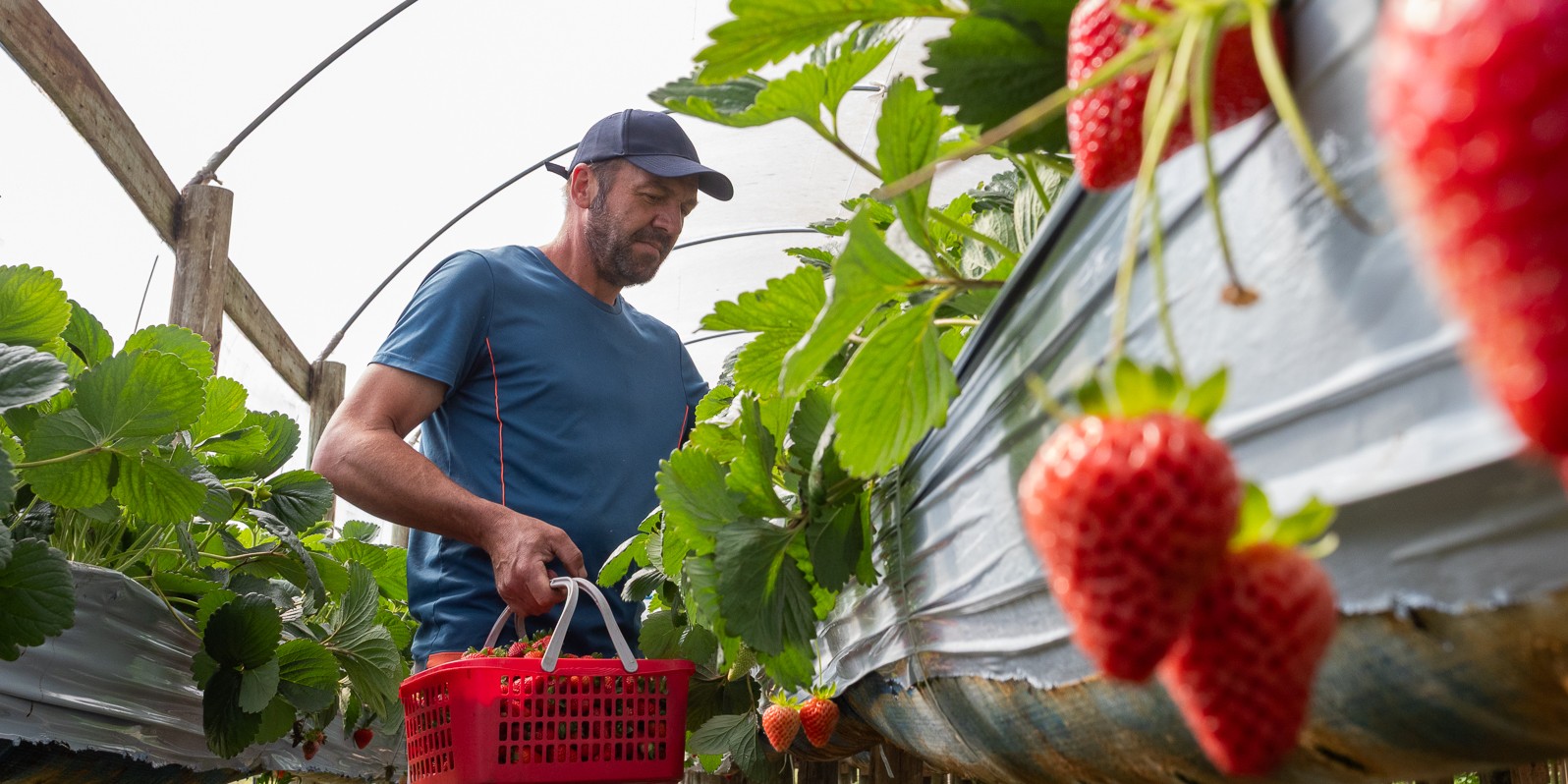 Ministério Público aponta indícios de abuso de autoridade e tortura psicológica no caso Marcos Nörnberg