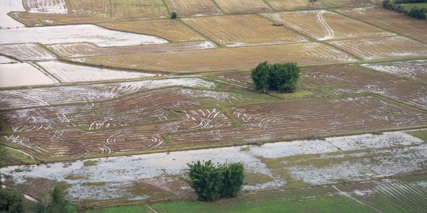 Possibilidade de El Niño irá impactar produção na região