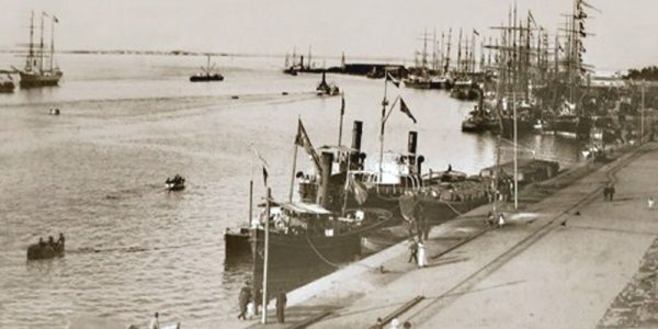 Produtores rurais de Pelotas aguardavam exemplares da raça Herd Book