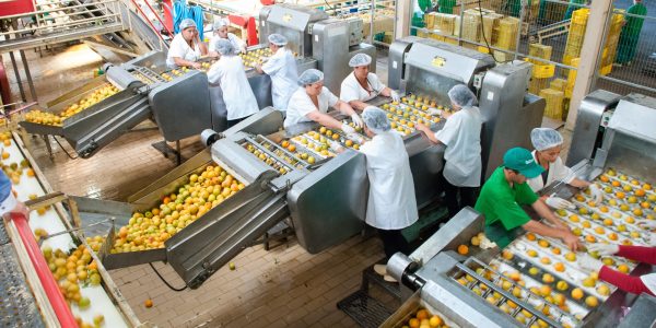 Pelotas volta a gerar empregos em fevereiro, com destaque para indústria