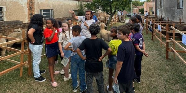 Comissão Jovem da Arco amplia conhecimento de jovens na ovinocultura com ações práticas