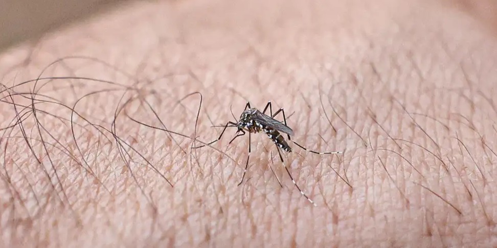 Pelotas registra primeiro caso de Chikungunya em 2026