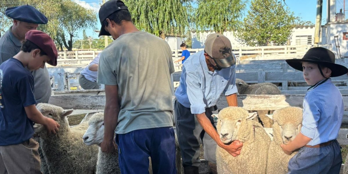 17º Encontro Regional de Ovinocultura acontece em Pinheiro Machado