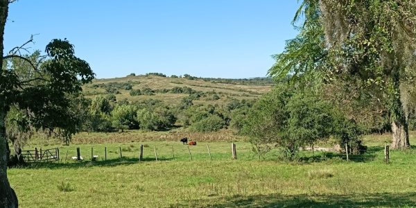 Zona Sul registra primeira temperatura negativa do ano