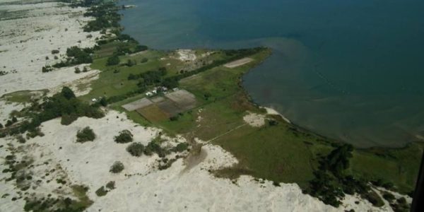 “Quando a criança cresce e se desenvolve em um ambiente seguro, a aprendizagem se dá de forma fluída”