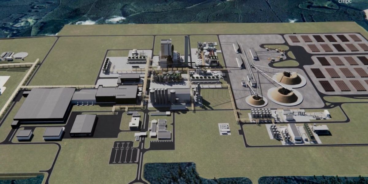Fepam pede mais prazo para analisar licenciamento ambiental da CMPC