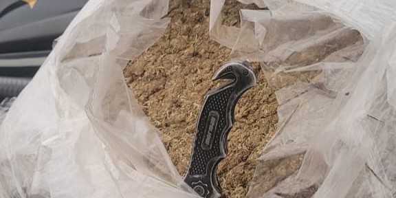 Homem é preso transportando skunk em ônibus de linha