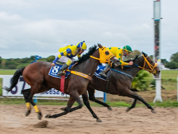 Com sete páreos na programação, 88º GP Princesa do Sul movimenta o domingo na Tablada