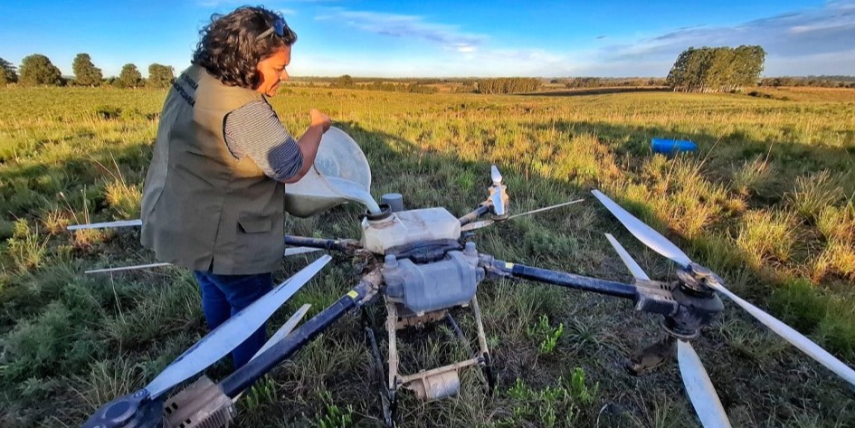 Estado testa solução biológica com uso de drones contra carrapato