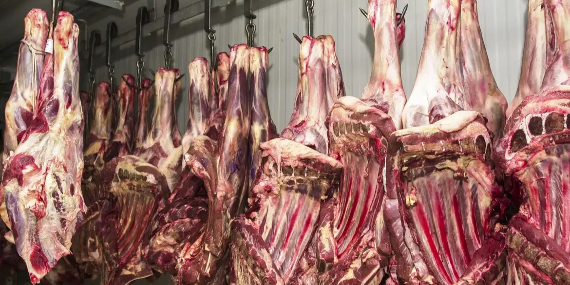 Setor avalia veto de exportações de carnes brasileiras como protecionismo da União Europeia