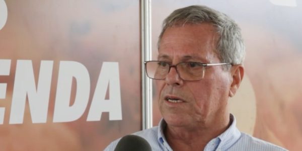 “Essas batatas doces que estamos lançando têm uma maior concentração de nutrientes”