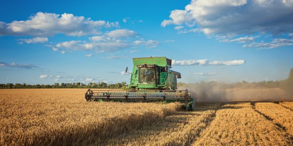 Soja tem boa produtividade, mas arroz segue sem fechar a conta na Zona Sul
