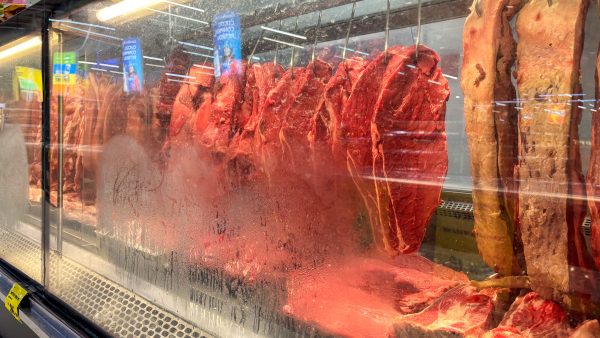 Entidades acreditam em reversão do veto às exportações de carnes para a União Europeia