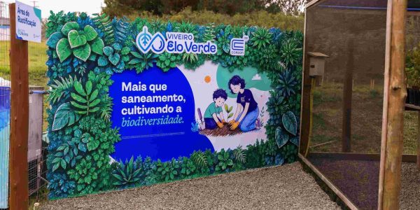 Rio Grande recebe projeto ambiental da Corsan para produzir até 10 mil mudas nativas por ano