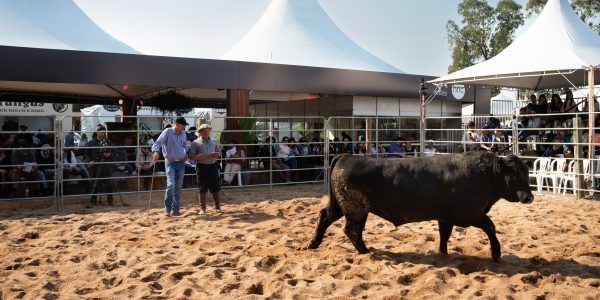 3ª Fenagen amplia sua programação técnica