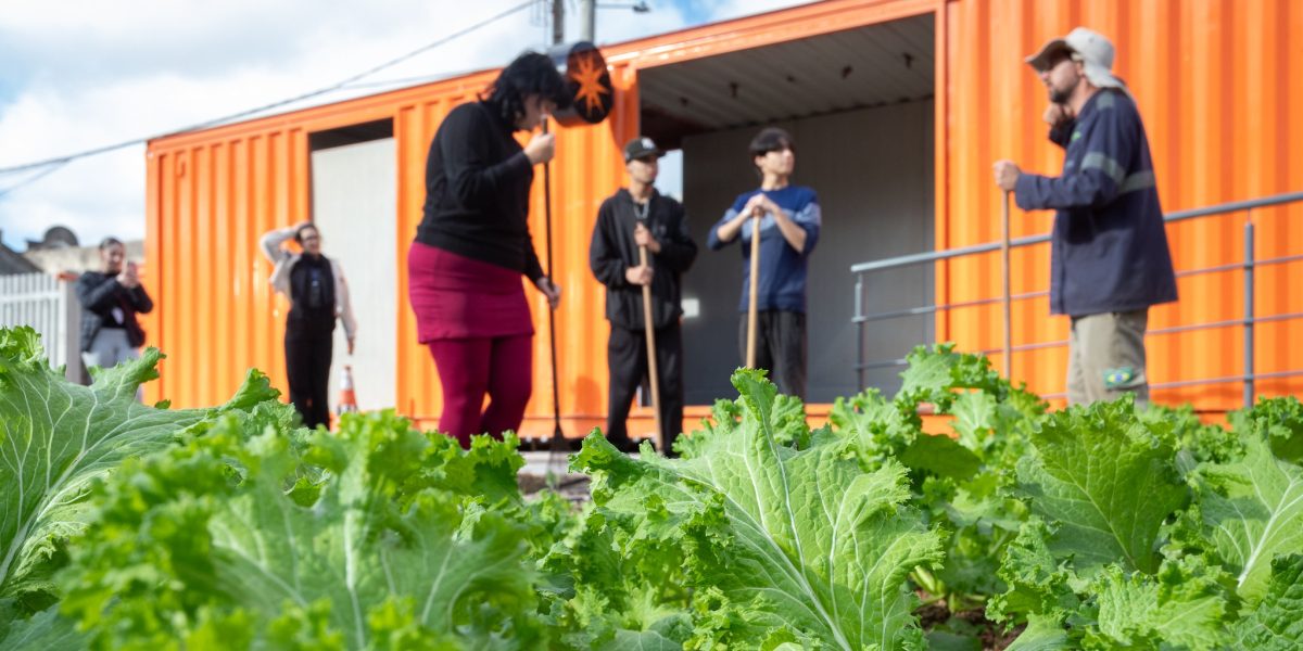 “Do canteiro ao prato” promove formação de jovens e segurança alimentar