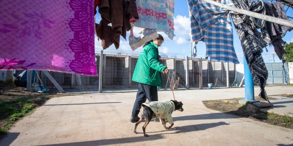 Campanha do agasalho busca preservar a saúde de cães