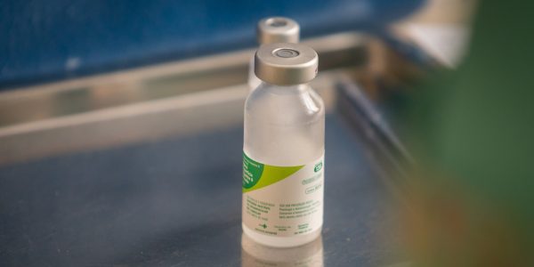 Pelotas irá vacinar o público geral contra gripe a partir de sexta-feira