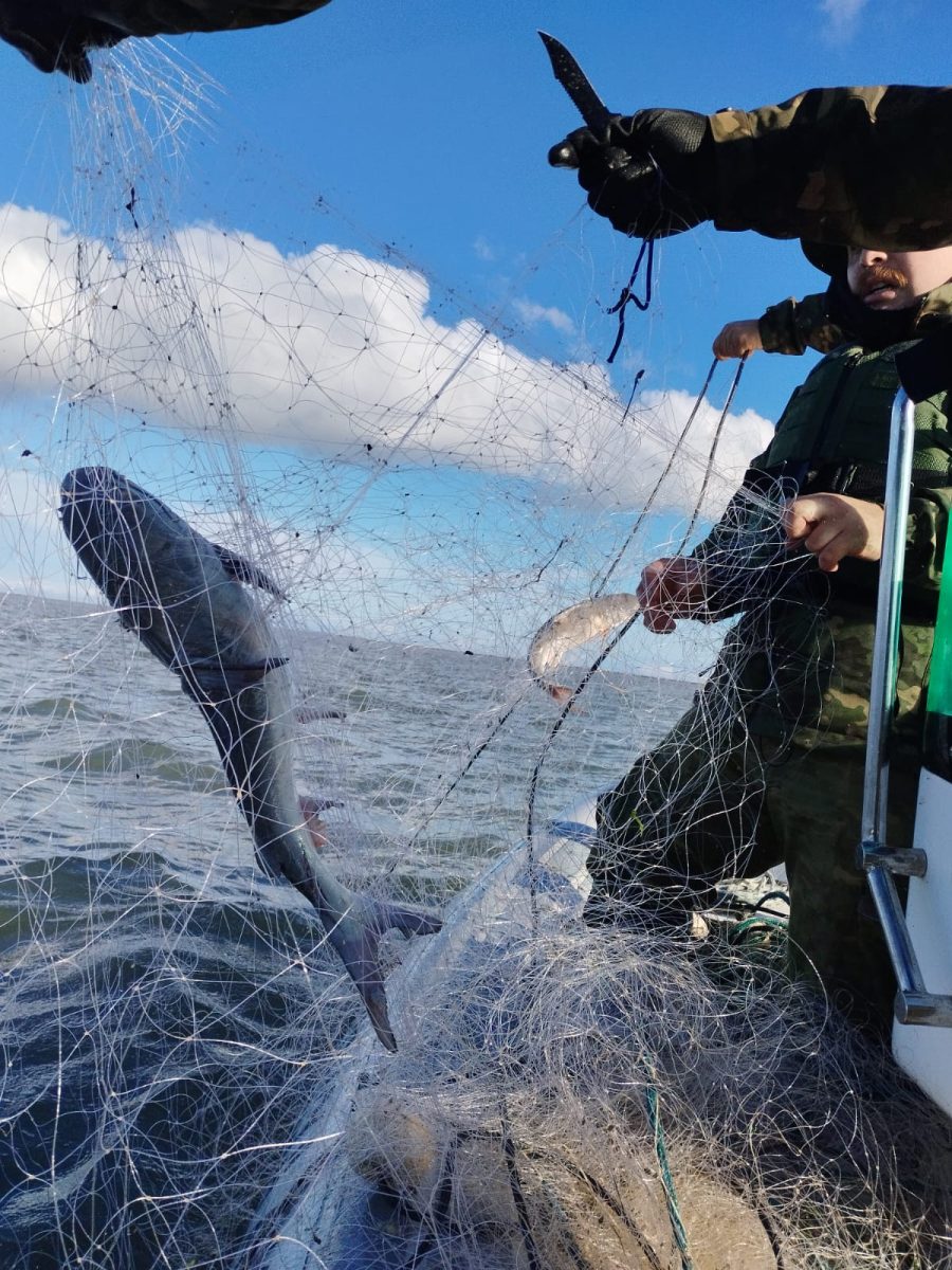 Pesca ilegal é alvo de fiscalização ambiental em Rio Grande